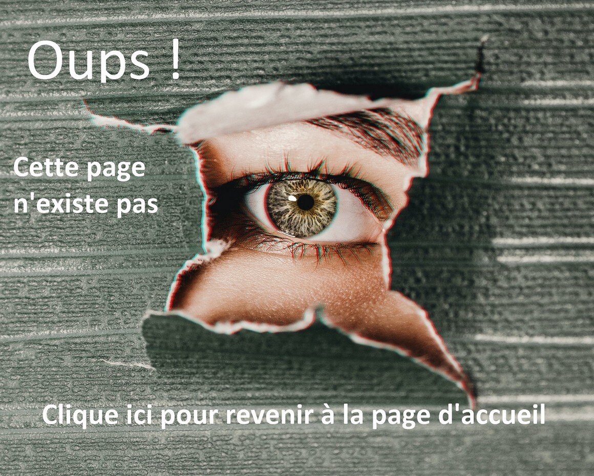 image de la page 404 de la sas 40pourcent.com